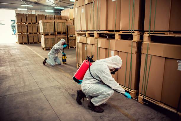 Best Affordable Pest Control Services  in Spearfish, SD