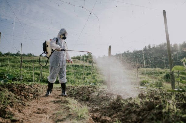 Best Ant Control Services  in Spearfish, SD