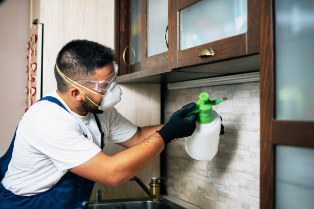 Spearfish, SD Pest Control Company