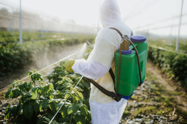 Best Pest Inspection Near Me  in Spearfish, SD